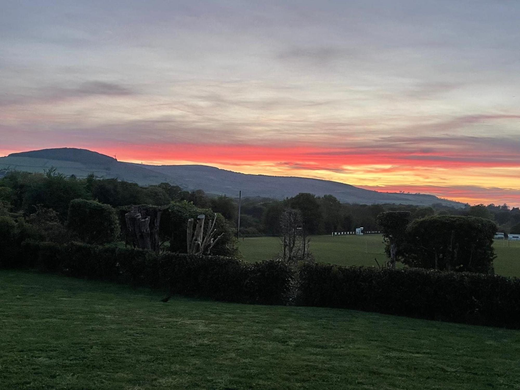 Mon Petit Cottage - B&B And House In Bunclody Bagian luar foto